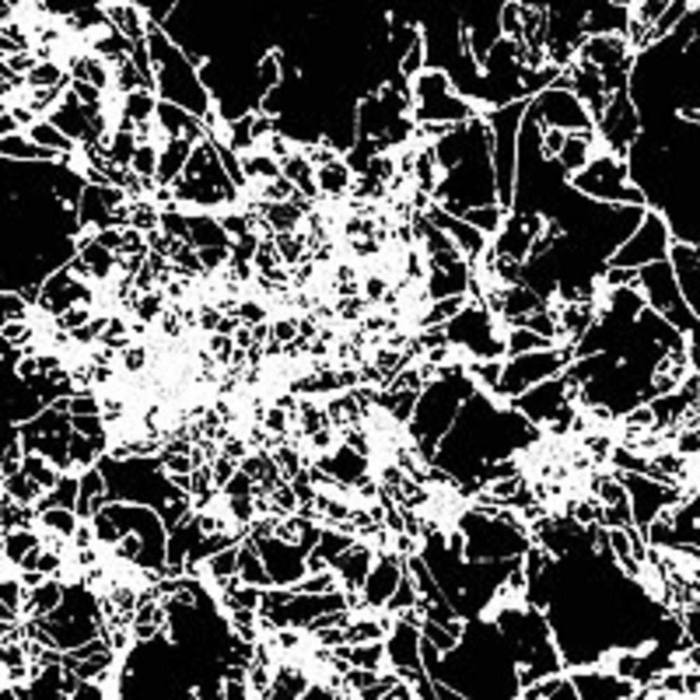 Montana, Spray Paint, Art & School, Effect, Marble, 877706, White